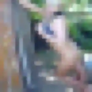Jolie Isaure, 27 ans à Argentan - voir sa photo