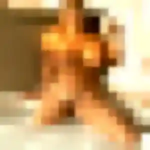 Photo perso de Apolline, 28 ans à Beauzelle - rencontre coquine