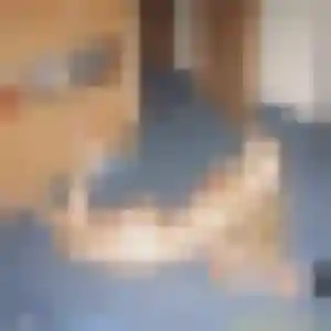 Sexy Solange, 26 ans à Bons-en-Chablais - la contacter