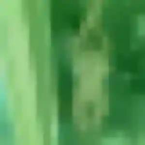 Contacte Flavie, 23 ans à Bouaye en privé