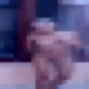 Orane (44 ans) à Canohès cherche une rencontre aujourd'hui