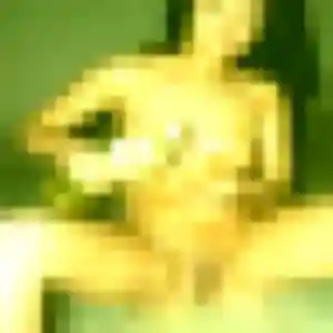 Photo exclusive de Cindy, 30 ans à Castelginest - rencontre sans lendemain