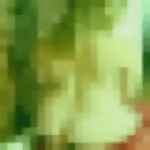 Photo de Gisele à Chantonnay (38 ans) - plan cul gratuit