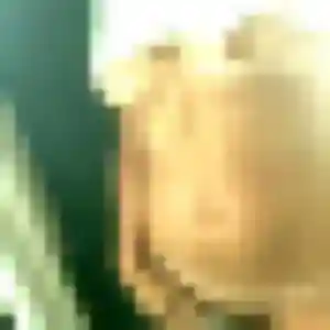 Découvre Anne-Laure, 31 ans à Chassieu en privé