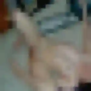 plan cul à Chauray : profil de Elise, 36 ans - inscription gratuite
