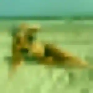 Louise, 38 ans, dispo pour plan cul à Chevreuse