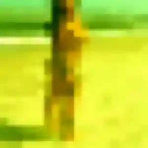 Photo sexy de Marie-Christine, 44 ans à Colmar - rencontre sans lendemain