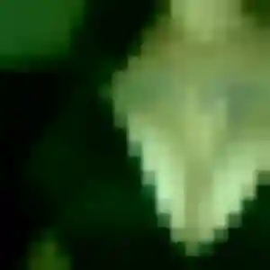 Sylviane, 45 ans, dispo pour plan cul à Crosne