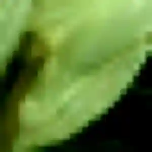 Photo de Bertrane à Dechy (43 ans) - plan cul anonyme