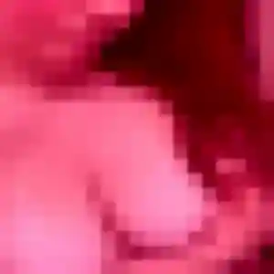 Photo perso de Roxane, 35 ans à Deuil-la-Barre - rencontre sans lendemain