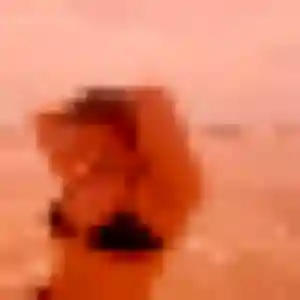 Aurelie, 37 ans, connectée à Ducos pour une rencontre coquine
