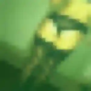 Photo sexy de Marilou, 40 ans à Faches-Thumesnil - rencontre sans lendemain