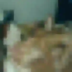 Photo exclusive de Louisa, 33 ans à Faverges-Seythenex - rencontre sans lendemain