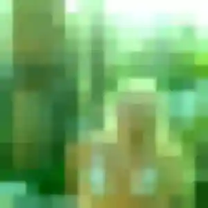 Photo de Debora à Florensac (20 ans) - plan cul anonyme