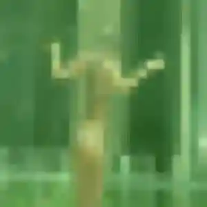 Cindy, 43 ans, cherche un plan cul à Fort-de-France