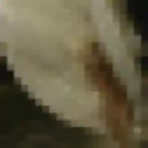 Photo de Josephine à Frouard (33 ans) - plan cul gratuit