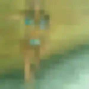 Profil de Romina à Gourbeyre (41 ans) - plan cul gratuit