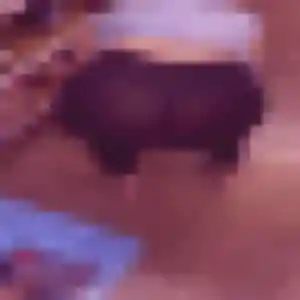 Jolie Estee, 41 ans à Grasse - la contacter