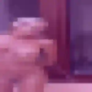 Contacte Estelle, 28 ans à Halluin gratuitement