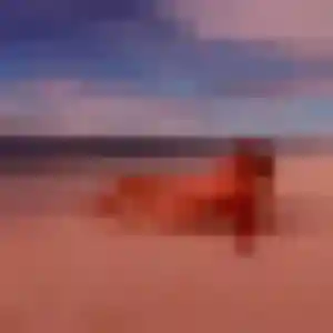 Photo de Regine à L'Isle-d'Abeau (44 ans) - plan cul anonyme