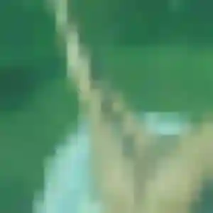 Louise, 29 ans, connectée à La Garnache pour une rencontre coquine