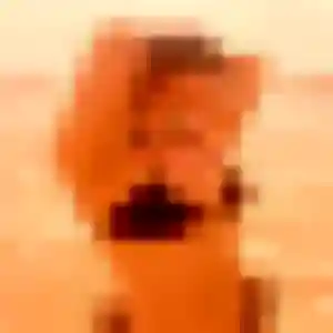 Profil de Eliane à La Montagne (43 ans) - plan cul gratuit