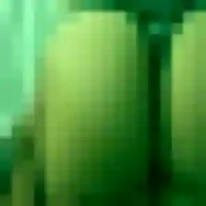 Photo privée de Nora, 27 ans à Le Cannet - plan discret