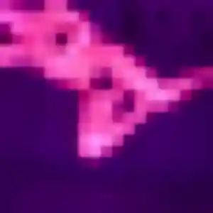 Brigitte, femme de 44 ans cherche plan cul à Le Lavandou