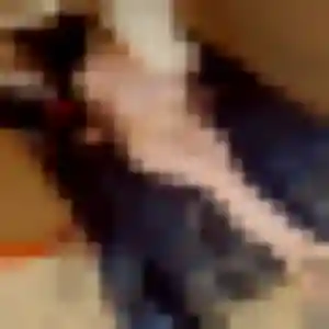 Fiona, 38 ans, disponible à Lillers pour une rencontre coquine