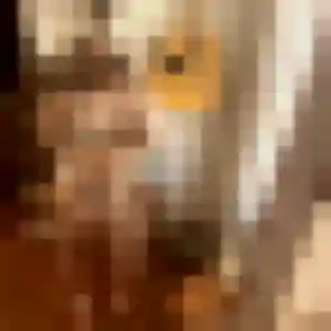 Graziella, 24 ans, dispo pour plan cul à Loison-sous-Lens