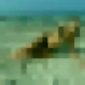 Muriel, 19 ans, connectée à Lormont pour une rencontre coquine