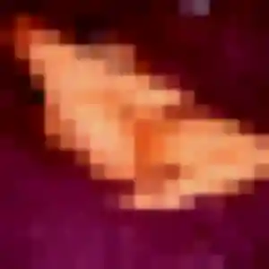 Profil de Ursula à Lormont (42 ans) - plan cul gratuit