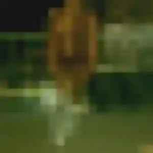 Photo de Laetitia à Mende (35 ans) - plan cul anonyme