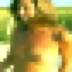 Photo de Benedicte à Montaigu-Vendée (35 ans) - plan cul sans inscription