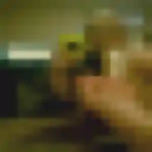 Anna, fille de 25 ans cherche plan cul à Montigny-en-Gohelle
