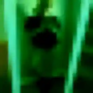 Oriane, 33 ans, connectée à Montmorillon pour une rencontre coquine