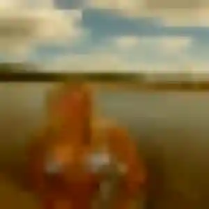 Frederique, fille de 25 ans cherche plan cul à Montoir-de-Bretagne