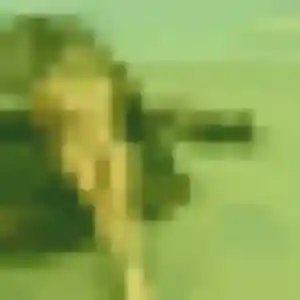 Debora, fille de 19 ans cherche plan cul à Mouguerre