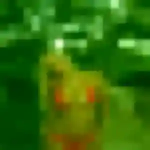 Photo perso de Kenza, 19 ans à Nieppe - rencontre sans lendemain