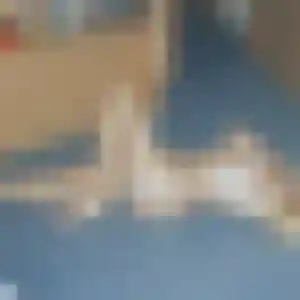 Meriem, 33 ans, disponible à Olivet pour une rencontre coquine