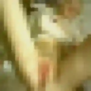 Photo exclusive de Maeva, 39 ans à Oloron-Sainte-Marie - rencontre sans lendemain