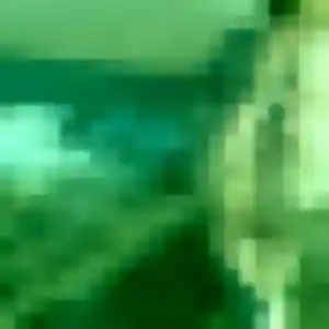 Photo privée de Rosalie, 33 ans à Petit-Bourg - plan discret