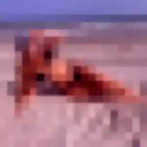 Photo privée de Debora, 38 ans à Pierrelatte - rencontre coquine