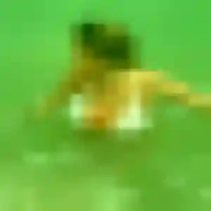 Valentina, 30 ans, disponible à Plessé pour un plan cul