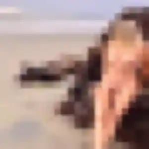 Photo perso de Ameline, 42 ans à Pont-du-Château - rencontre coquine