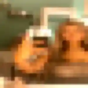 Kim, 24 ans, connectée à Pont-Saint-Martin pour une rencontre coquine