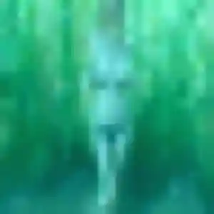 Profil de Inaya à Riorges (26 ans) - plan cul anonyme