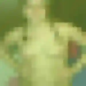 Pauline, fille de 27 ans cherche plan cul à Rivesaltes
