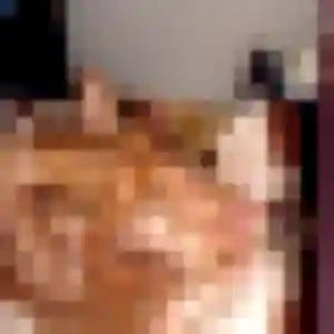 Photo privée de Marie-Claire, 42 ans à Sada - plan discret