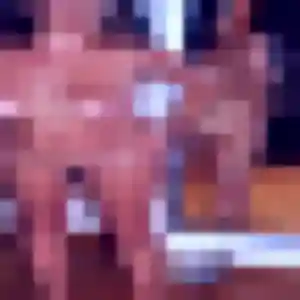 Amandine, 44 ans, en ligne à Saint-Denis-lès-Bourg pour un plan cul